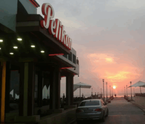 افضل مطاعم في طرطوس