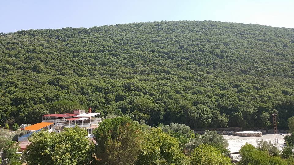 نبع الفوار سياحة ريف حمص