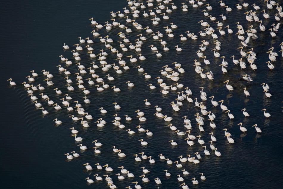 سبخة الجبول - اماكن سياحية في ريف حلب